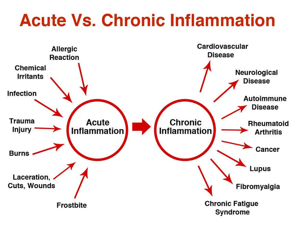 Top 3 Things to Fend Off Inflammaging